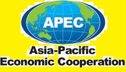 APEC phát triển thành phố bền vững 